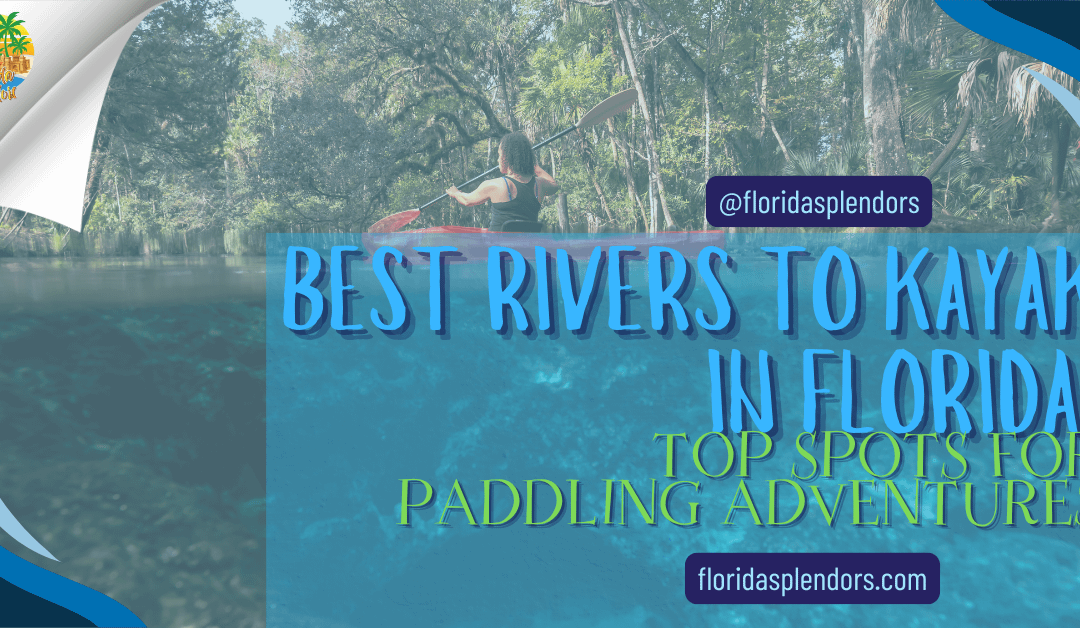 Best Rivers to Kayak in Florida: Top Spots for Paddling Adventures