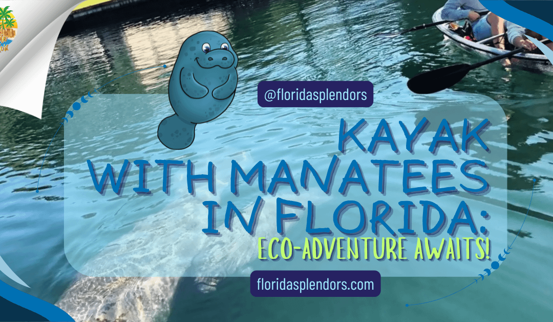 Kayak with Manatees in Florida: Eco-Adventure Awaits!