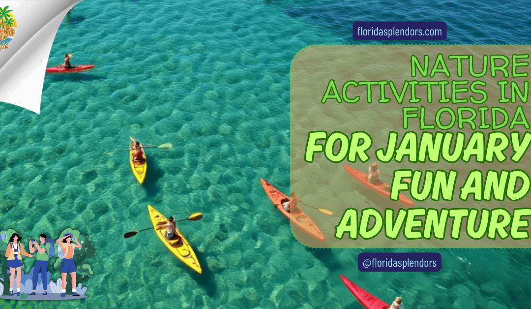 Nature Activities in Florida for January Fun and Adventure