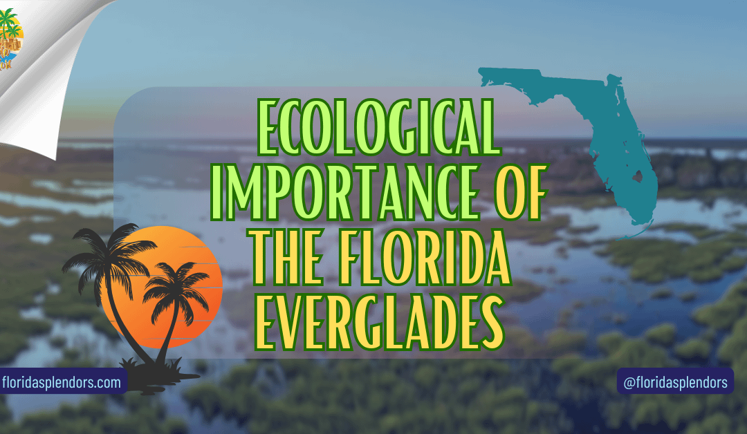 Ecological Importance of the Florida Everglades