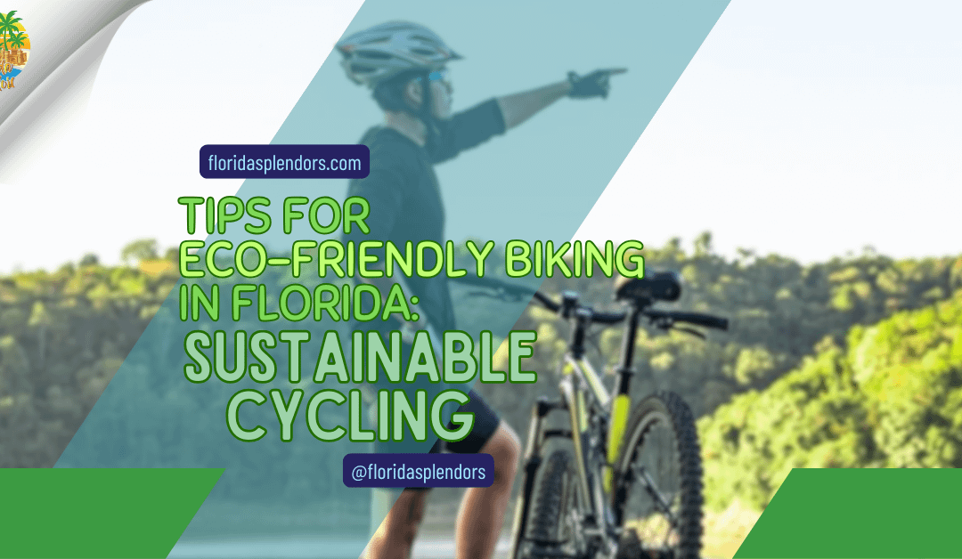 Tips for Eco-Friendly Biking in Florida: Sustainable Cycling