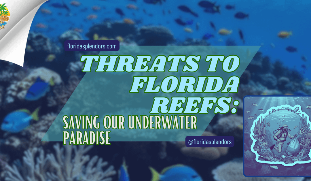 Threats to Florida Reefs: Saving Our Underwater Paradise