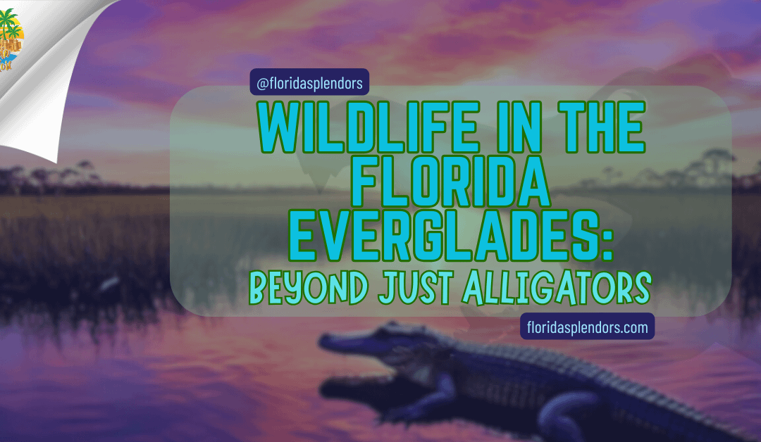 Wildlife in the Florida Everglades: Beyond Just Alligators