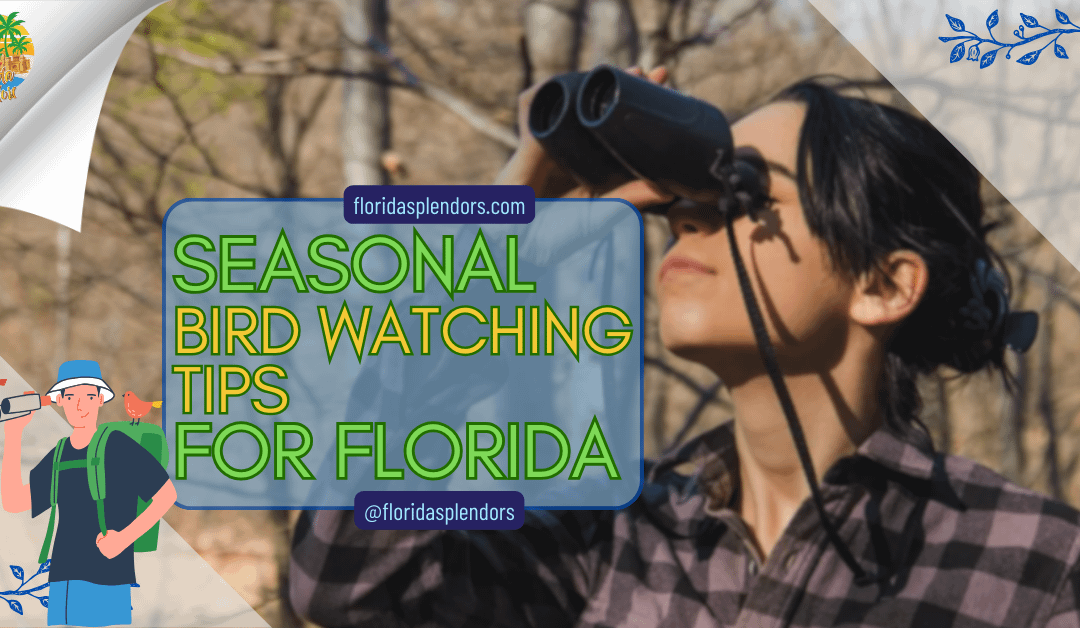 Seasonal Bird Watching Tips for Florida