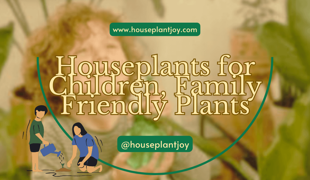 Houseplants for Children, Family Friendly Plants