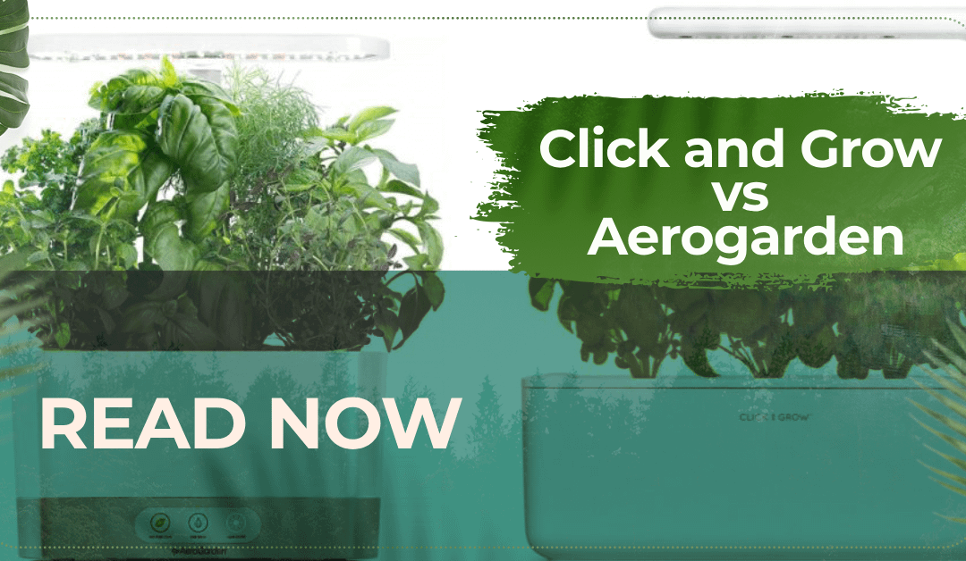 Click and Grow vs Aerogarden Comparison