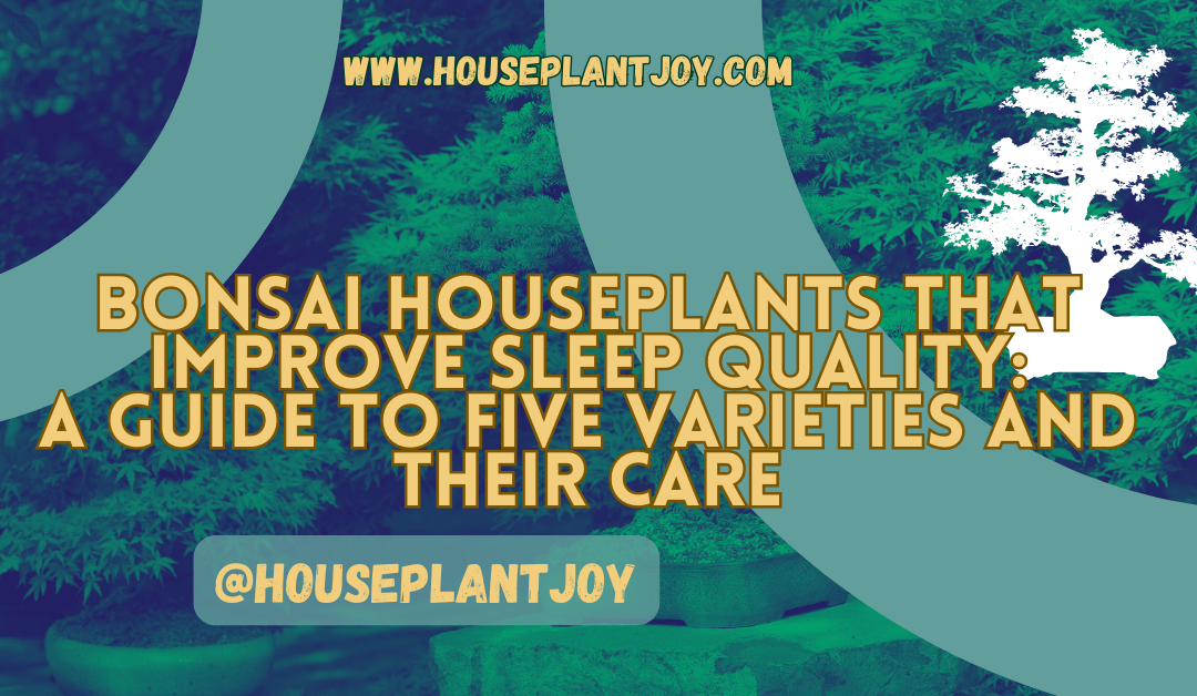 Bonsai Houseplants That Improve Sleep Quality: A Guide to Five Varieties and Their Care