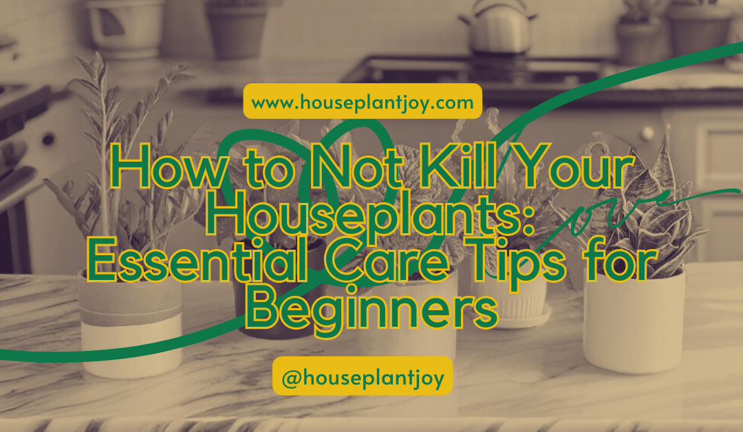 How to Not Kill Your Houseplants: Essential Care Tips for Beginners