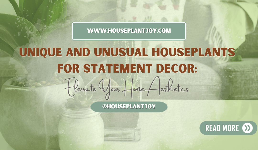 Unique and Unusual Houseplants for Statement Decor