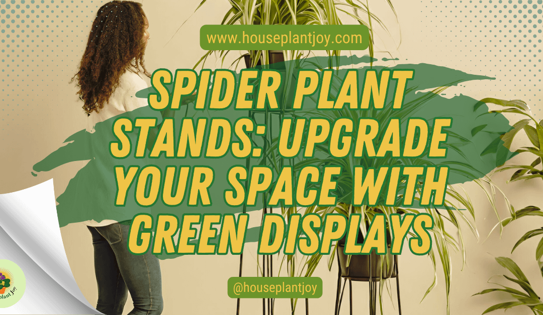 Spider Plant Stands: Upgrade Your Space with Green Displays