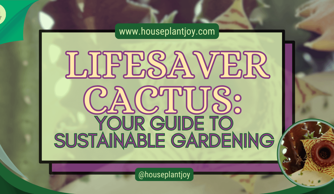 Lifesaver Cactus: Your Guide to Sustainable Gardening