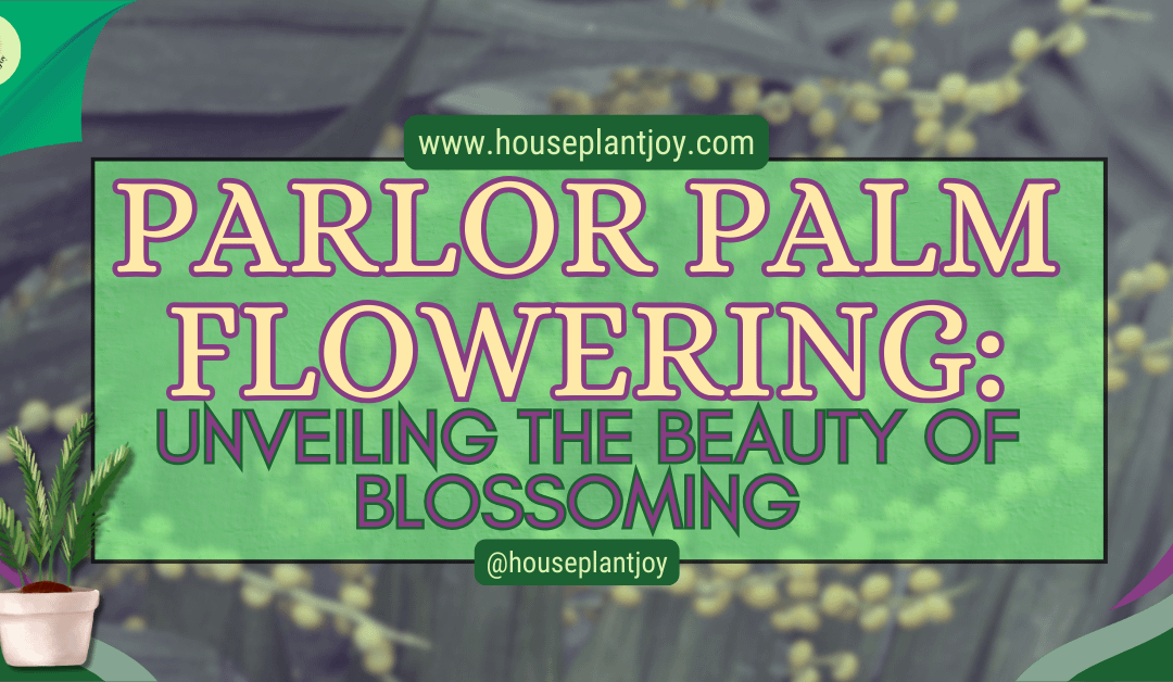 Parlor Palm Flowering: Unveiling the Beauty of Blossoming