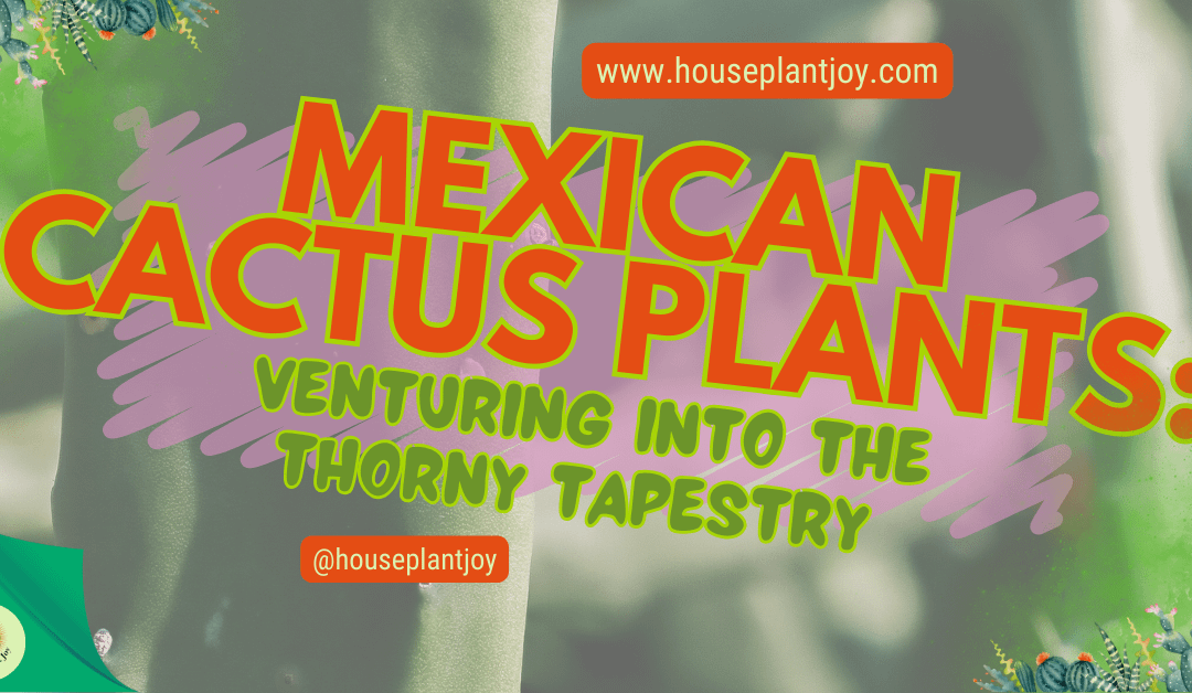 Mexican Cactus Plants: Venturing into the Thorny Tapestry