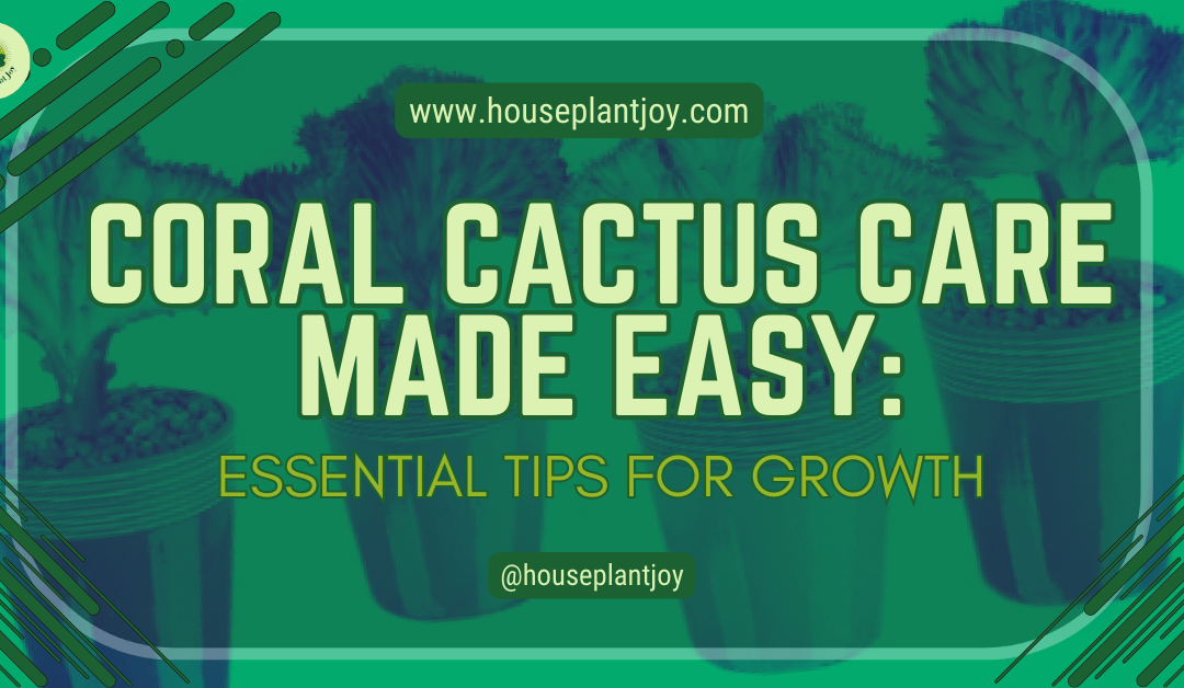 Coral Cactus Care Made Easy: Essential Tips for Growth