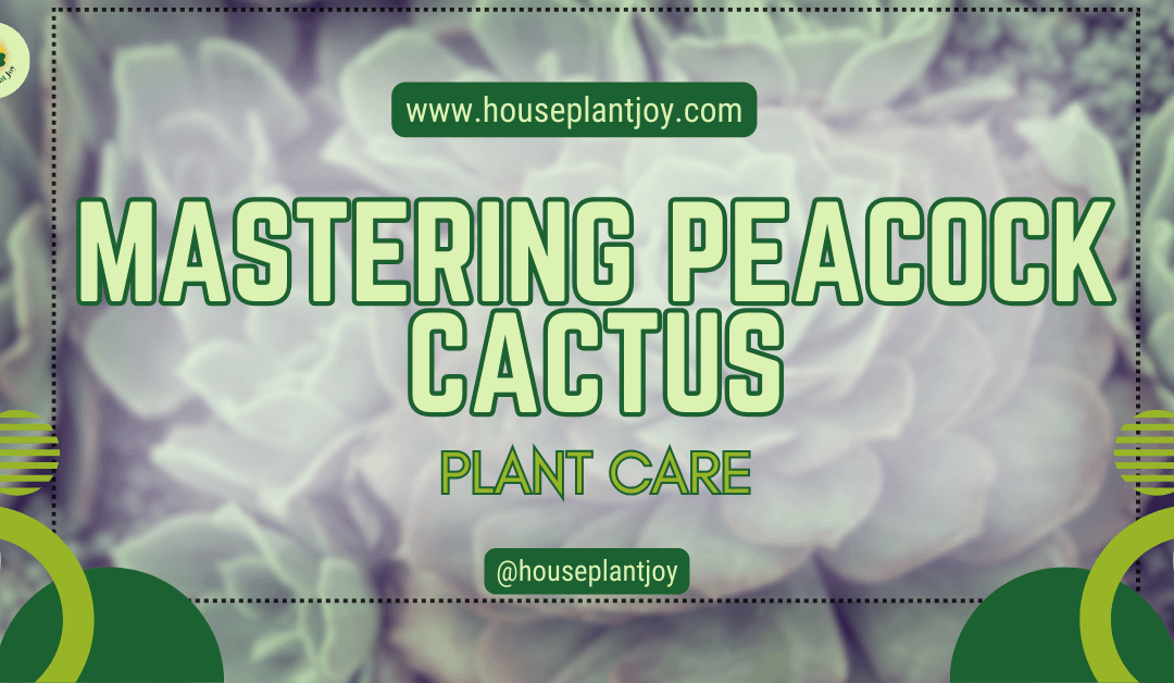 Mastering Peacock Cactus Plant Care