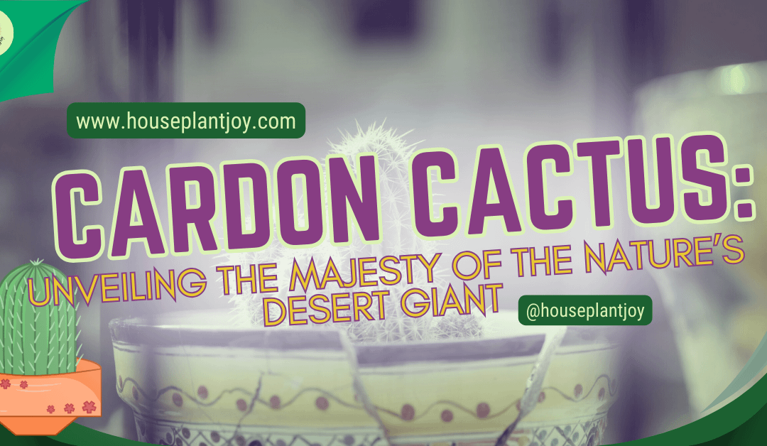 Cardon Cactus: Unveiling the Majesty of the Nature’s Desert Giant