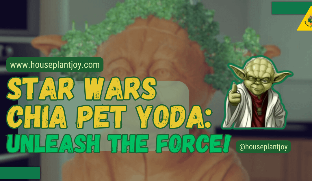 Star Wars Chia Pet Yoda: Unleash the Force!