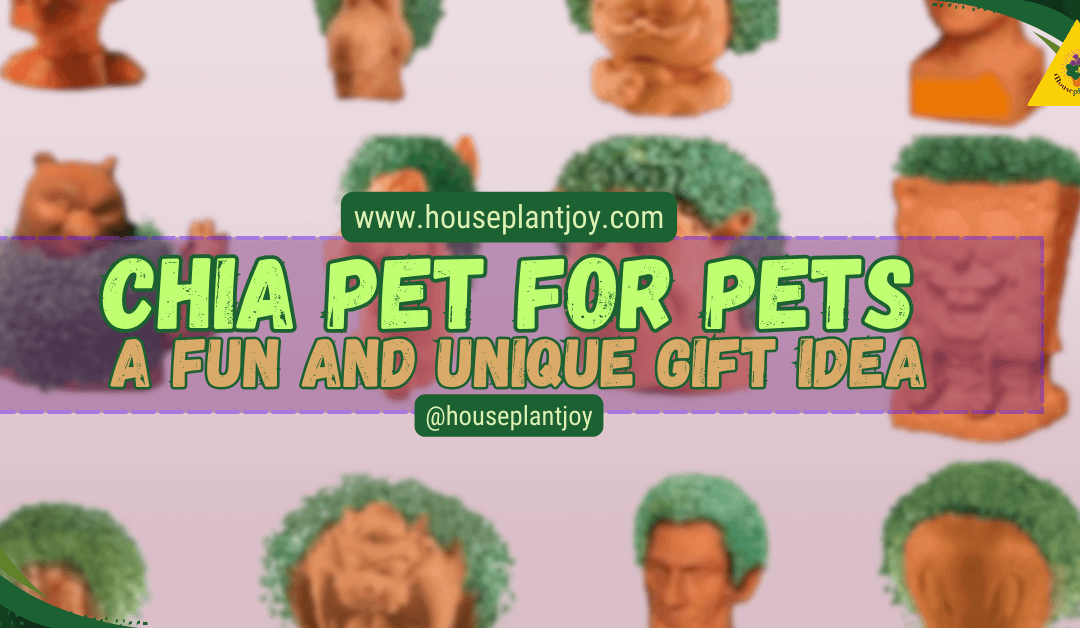 Chia Pet for Pets – A Fun and Unique Gift Idea