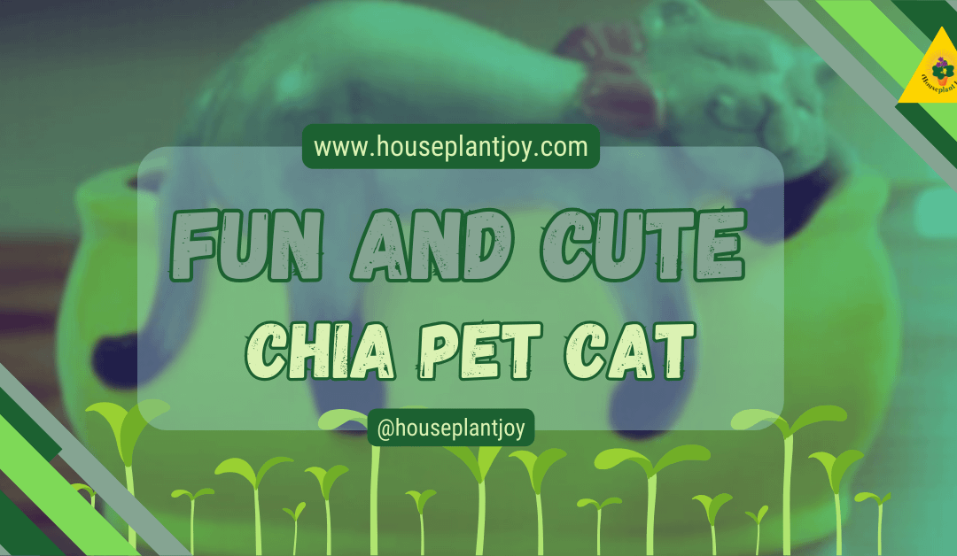 Fun and Cute Chia Pet Cat
