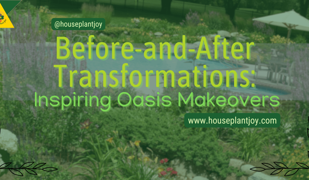 Before-and-After Transformations: Inspiring Oasis Makeovers