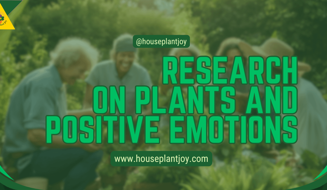 Research On Plants And Positive Emotions