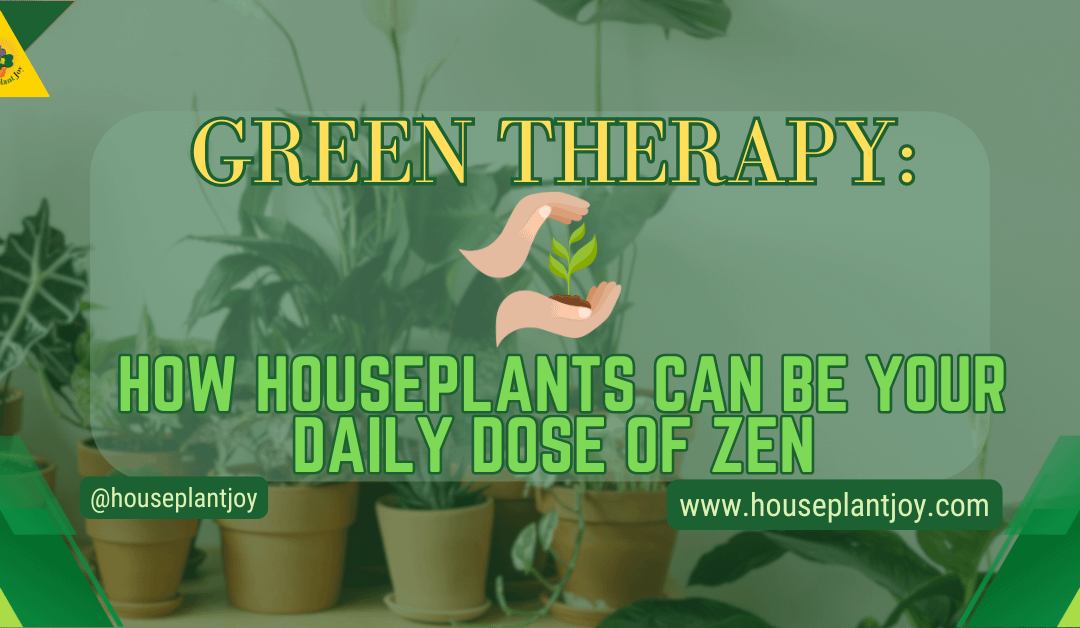 Green Therapy: How Houseplants Can Be Your Daily Dose Of Zen