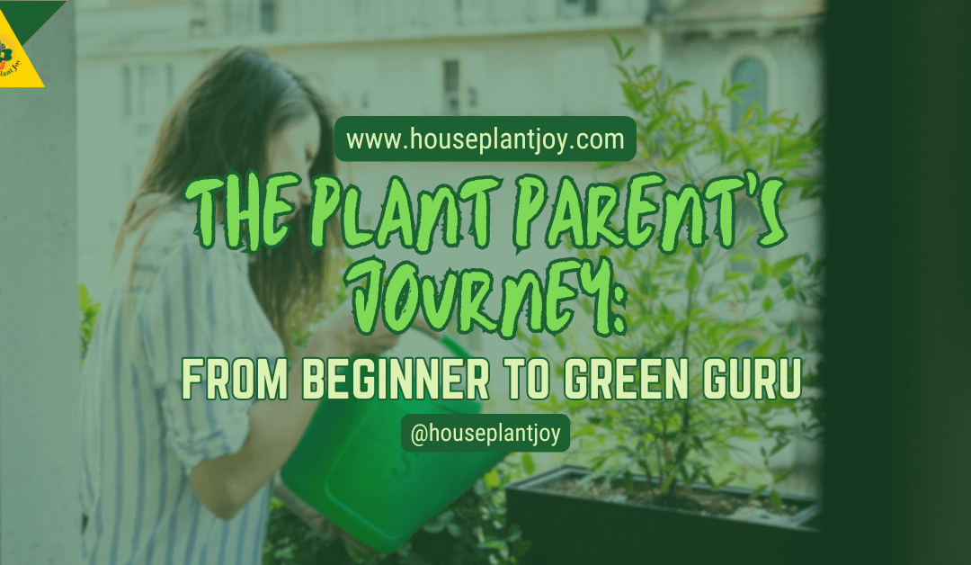 The Plant Parent’s Journey: From Beginner To Green Guru