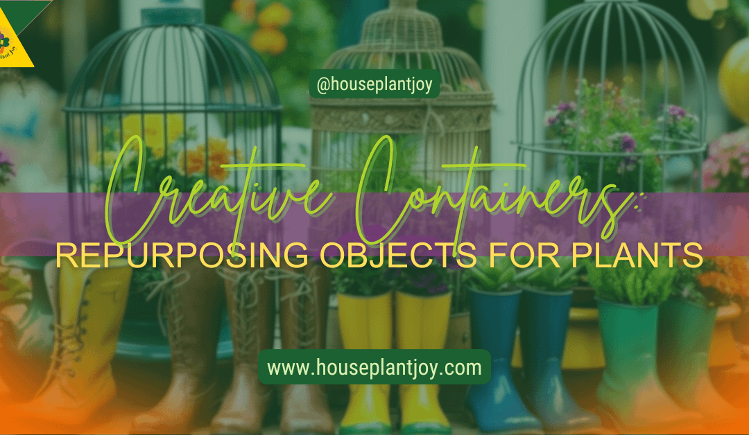 Creative Containers: Repurposing Objects for Plants