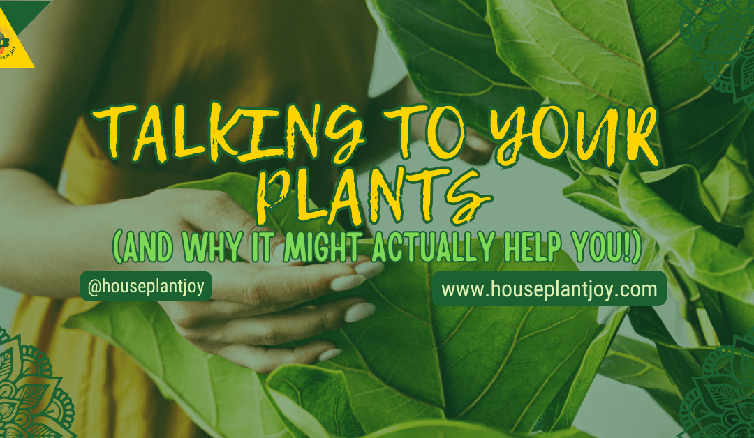 Talking To Your Plants (and Why It Might Actually Help You!)