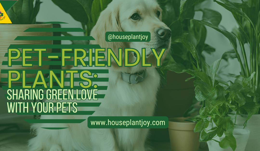 Pet-Friendly Plants: Sharing Green Love with Your Pets