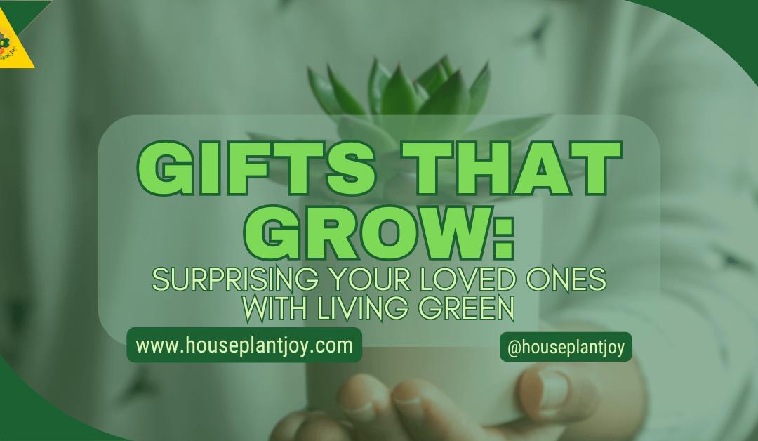Gifts That Grow: Surprising Your Loved Ones With Living Green