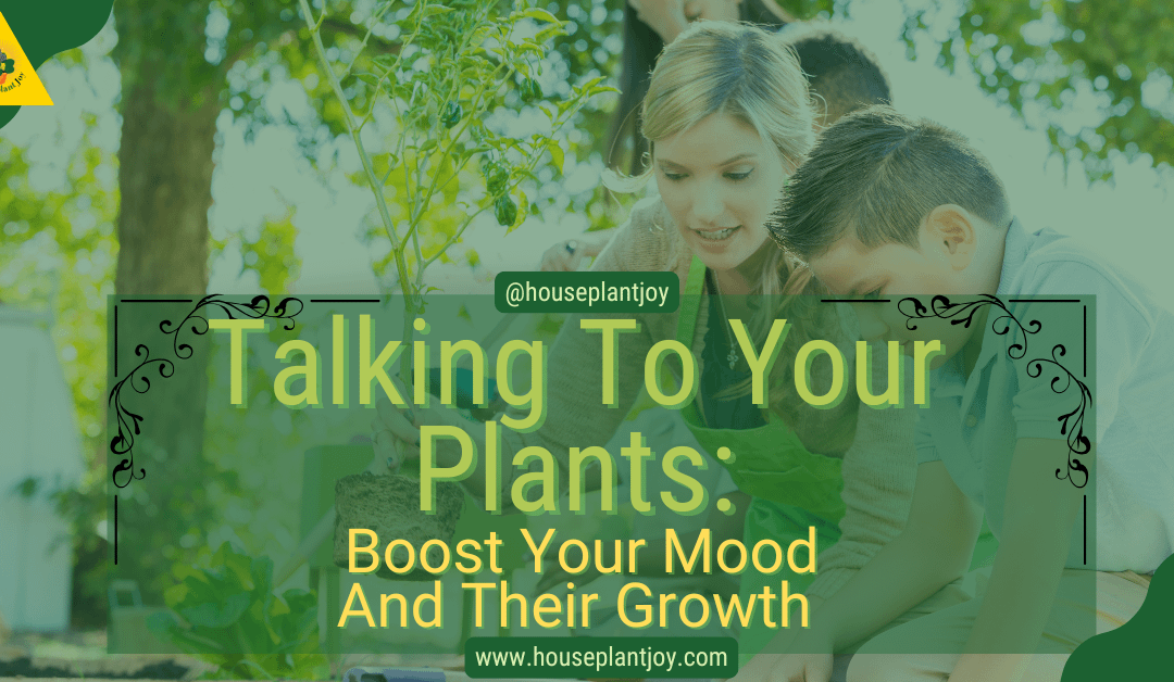 Talking To Your Plants: Boost Your Mood And Their Growth