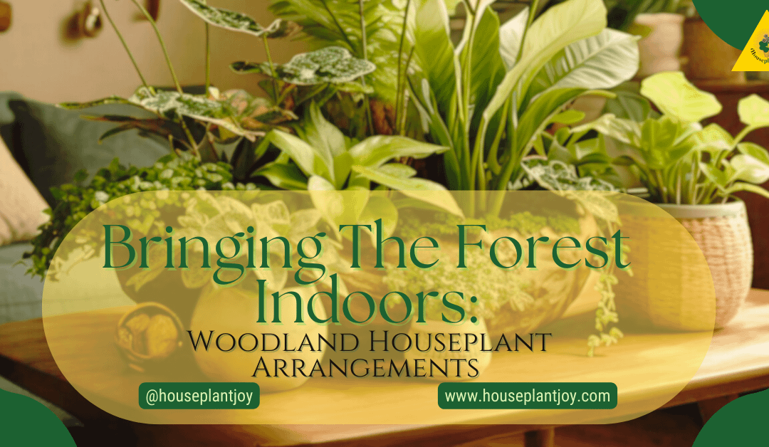 Bringing The Forest Indoors: Woodland Houseplant Arrangements