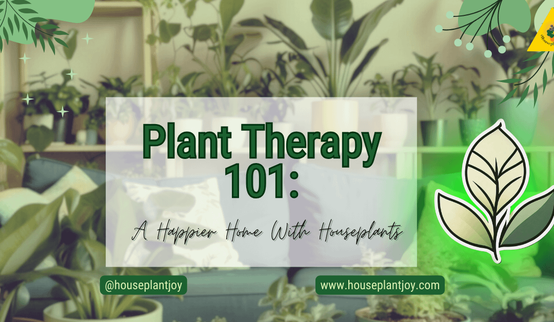 Plant Therapy 101: A Happier Home With Houseplants