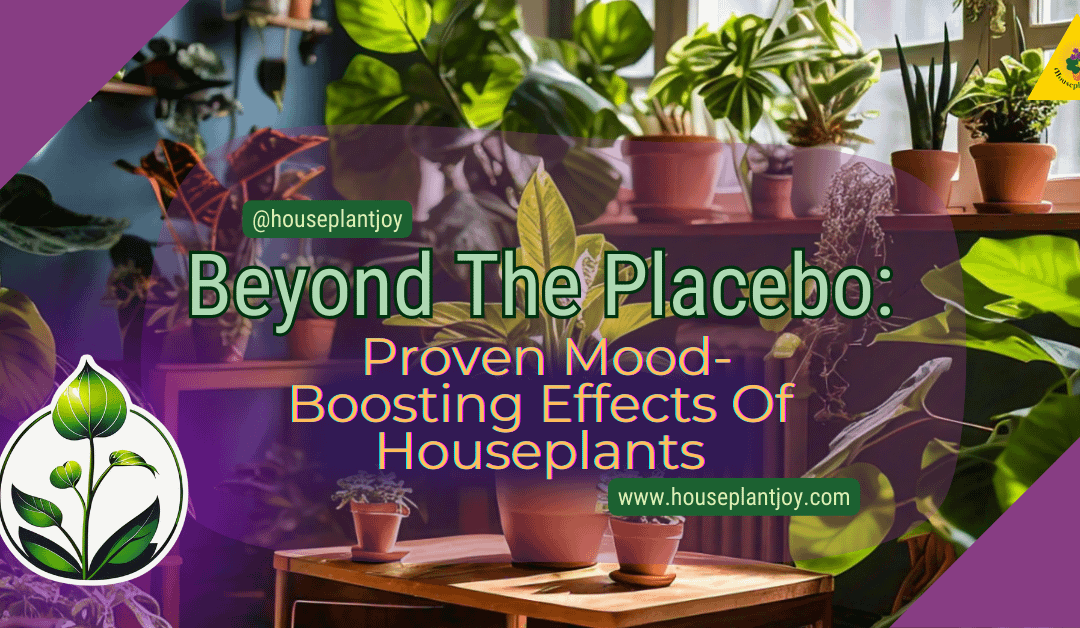 Beyond The Placebo: Proven Mood-Boosting Effects Of Houseplants