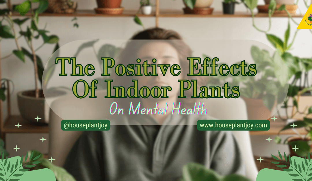 The Positive Effects Of Indoor Plants On Mental Health