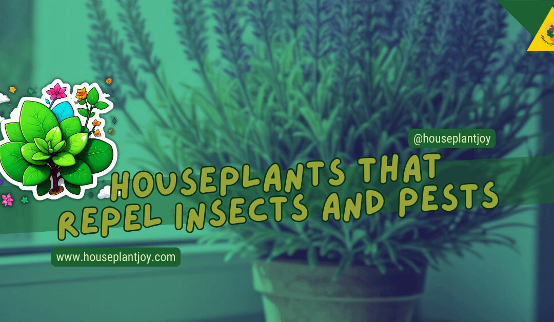 Houseplants That Repel Insects And Pests