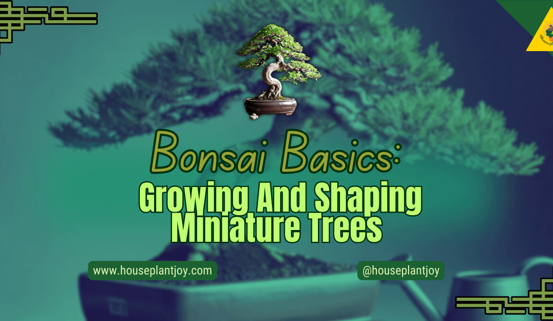 Bonsai Basics: Growing And Shaping Miniature Trees