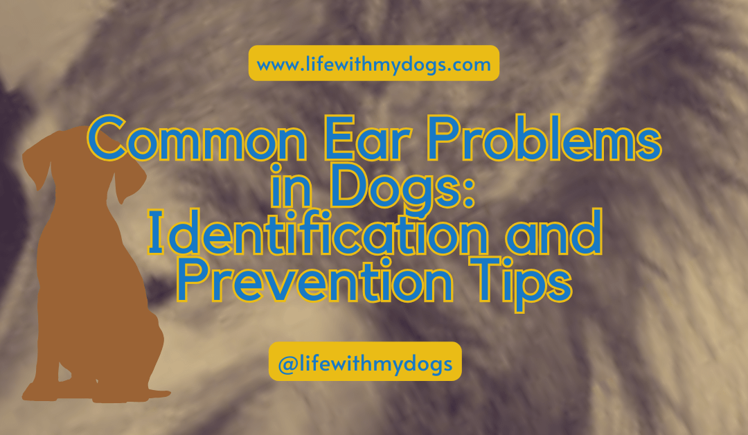 Common Ear Problems in Dogs: Identification and Prevention Tips