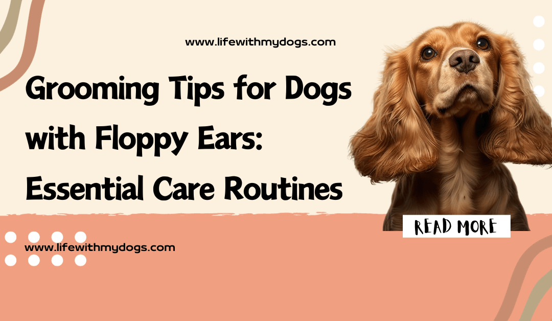 Grooming Tips for Dogs with Floppy Ears