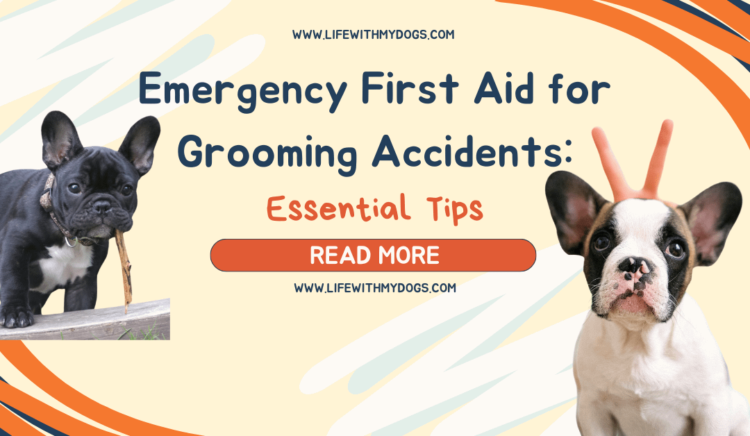 Emergency First Aid for Grooming Accidents: Essential Tips