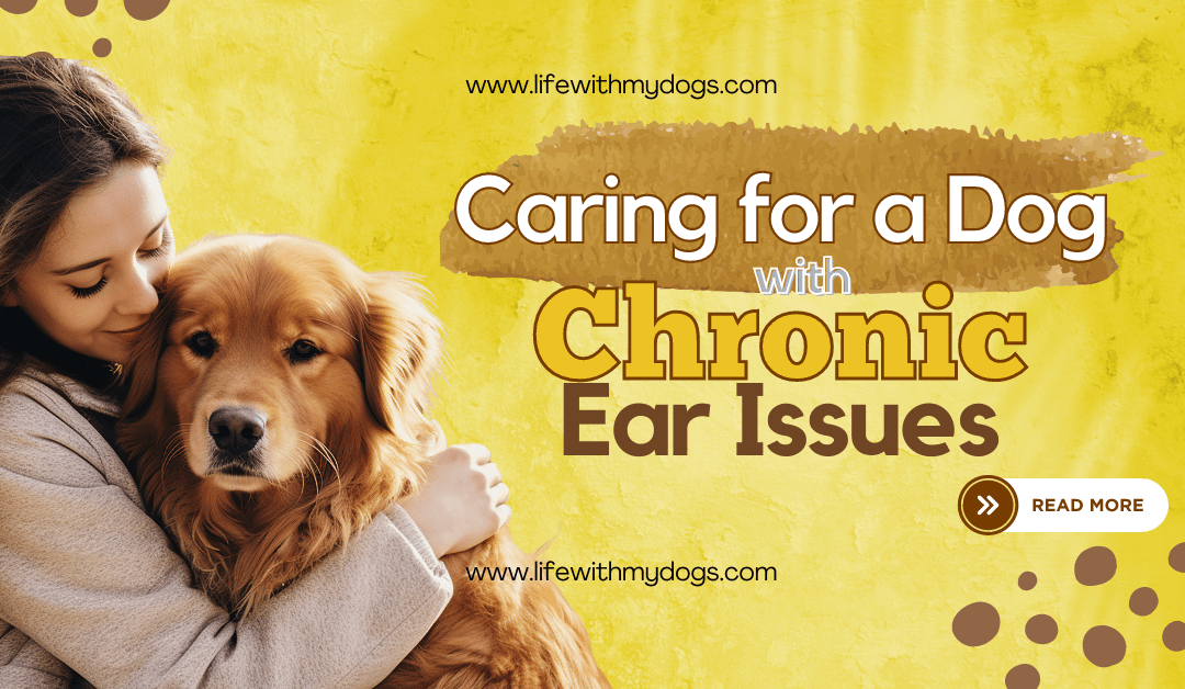 Caring for a Dog with Chronic Ear Issues