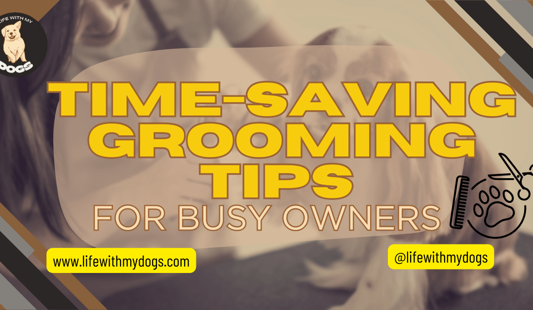 Time-Saving Grooming Tips For Busy Owners