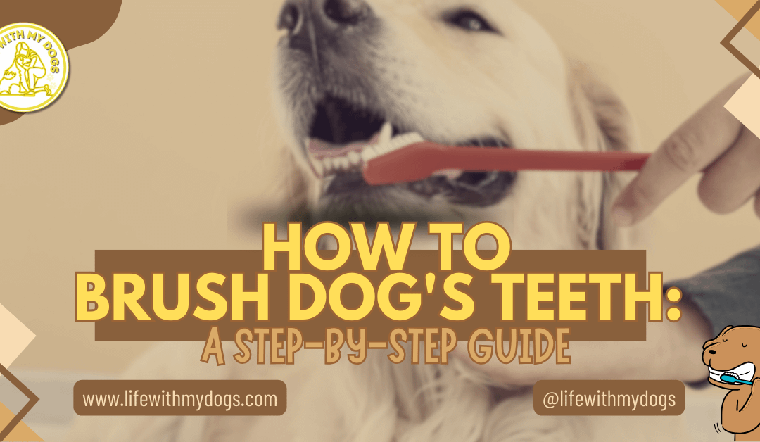 How to Brush Dog’s Teeth: A Step-by-Step Guide