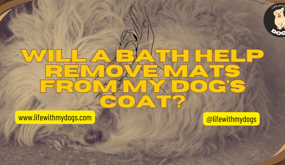 Will a Bath Help Remove Mats from My Dog’s Coat?