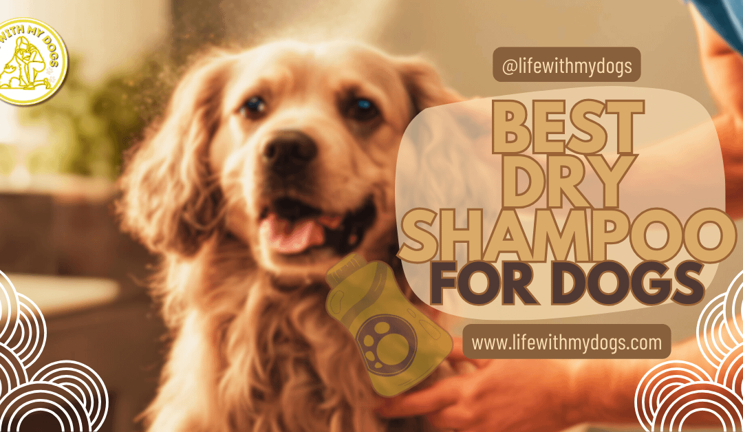 Best Dry Shampoo for Dogs