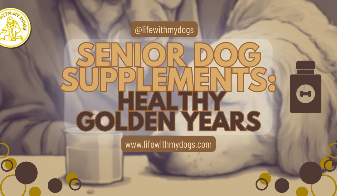 Senior Dog Supplements: Healthy Golden Years