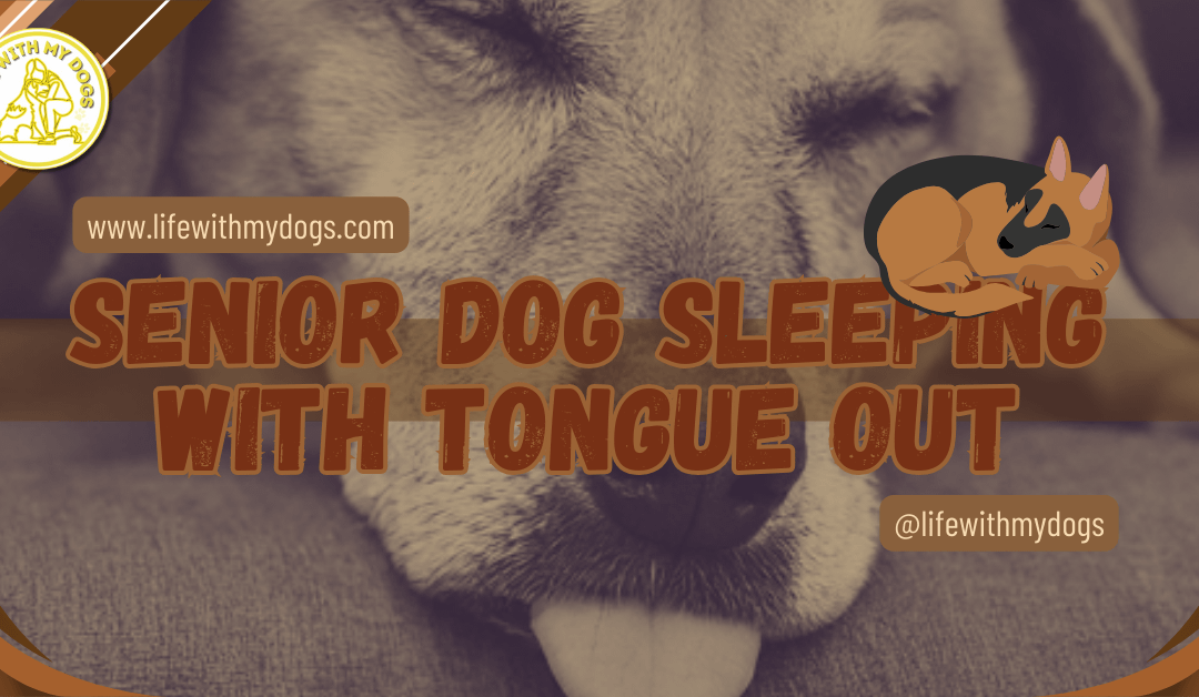 Senior Dog Sleeping with Tongue Out
