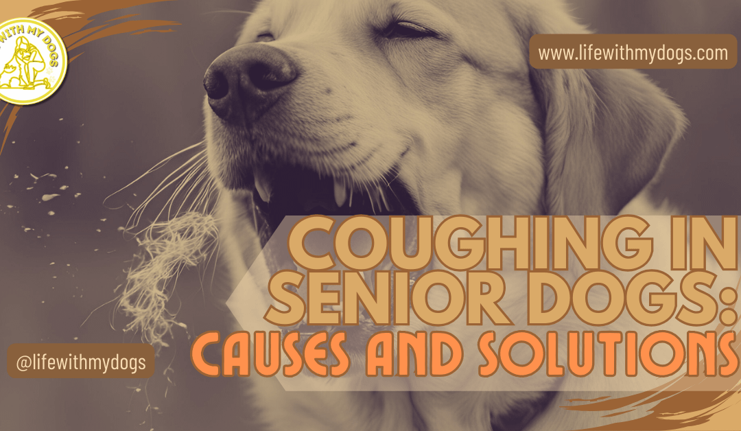 Coughing in Senior Dogs: Causes and Solutions