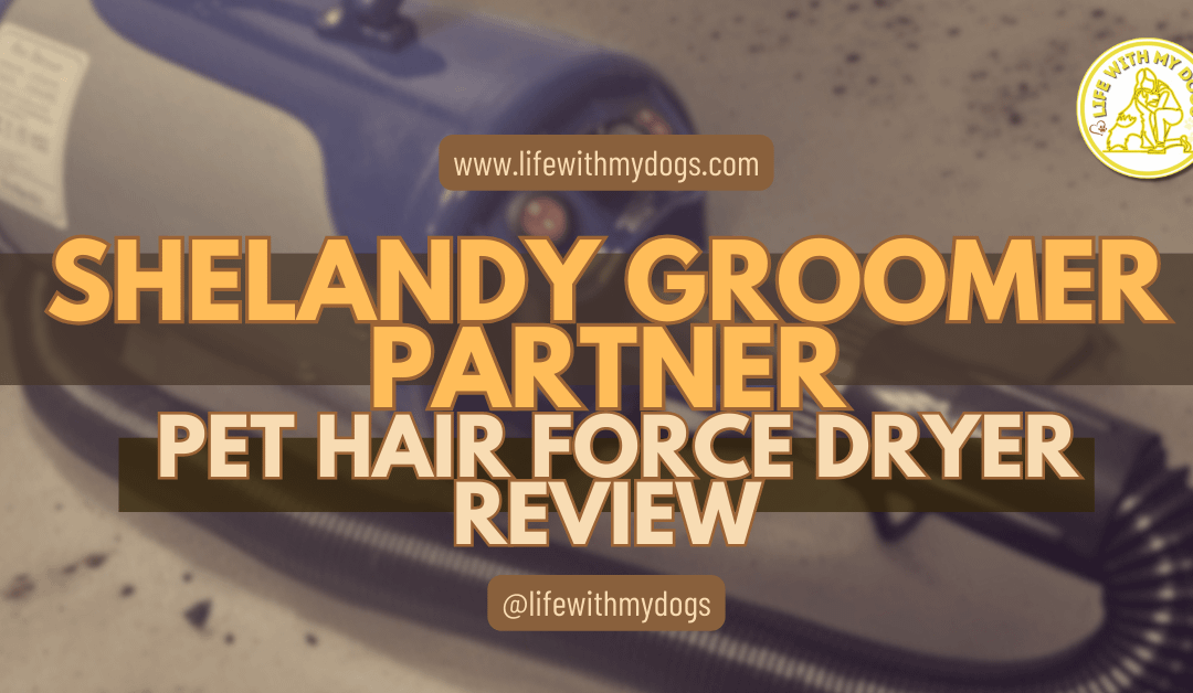 SHELANDY Groomer Partner Pet Hair Force Dryer Review